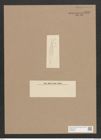 Navicula sp. (de-Toni-Nr.: Genus 1) Zeichnungen Sammlung Grunow Nr. 1419 (NHMW-BOT-W0368395)